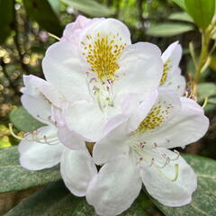 23-06-03 17-00-13 5812